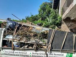 Best Residential Junk Removal  in Millsboro, DE
