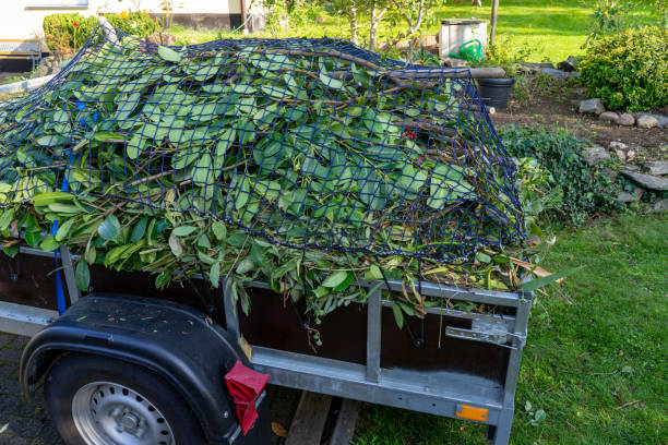 Best Residential Junk Removal  in Millsboro, DE