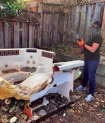 Best Carpet Removal and Disposal  in Millsboro, DE